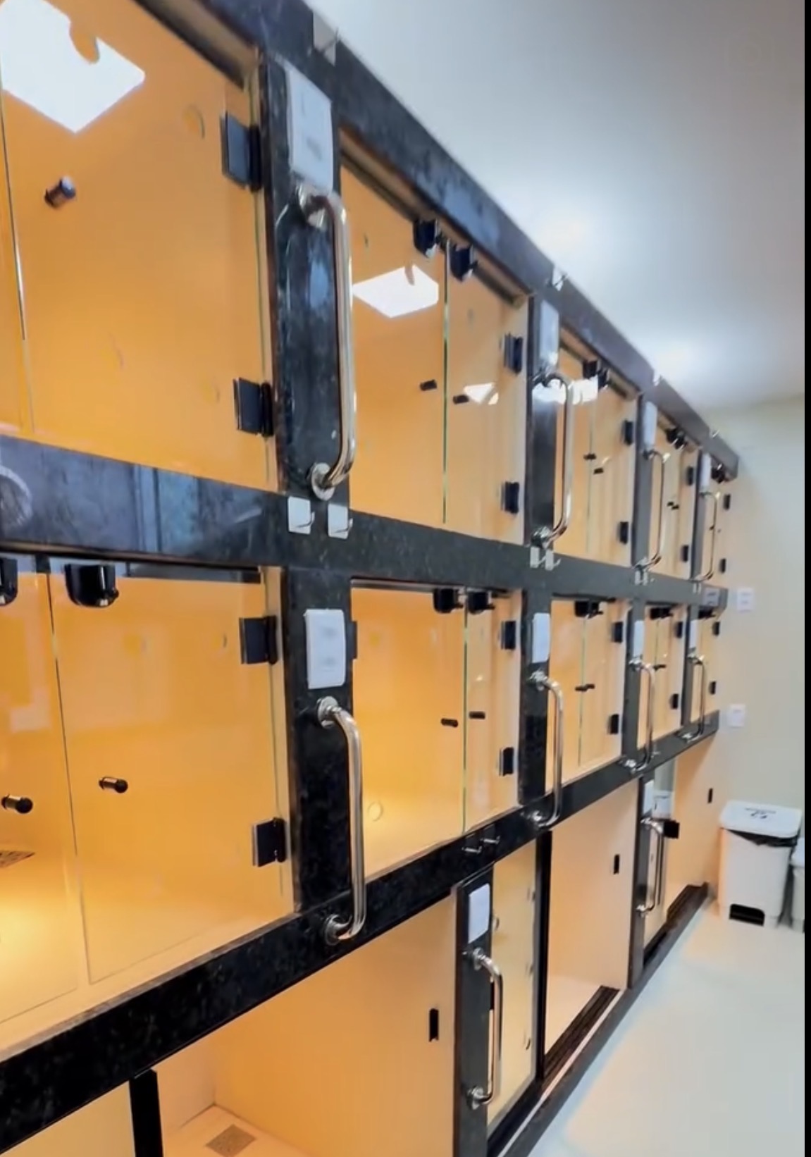 Baias de internação com portas de vidro